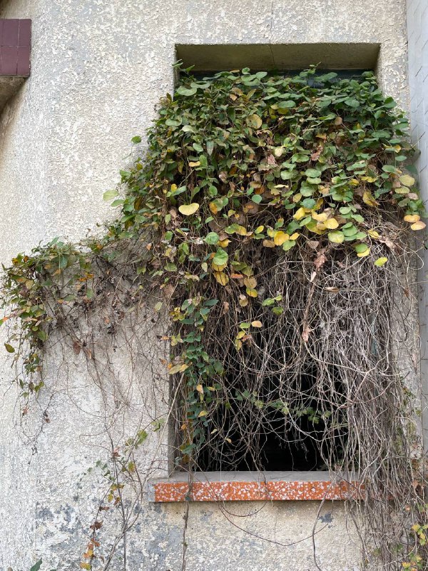 厦门城市废墟探索：某油库员工之家级别：丙；难度：丙