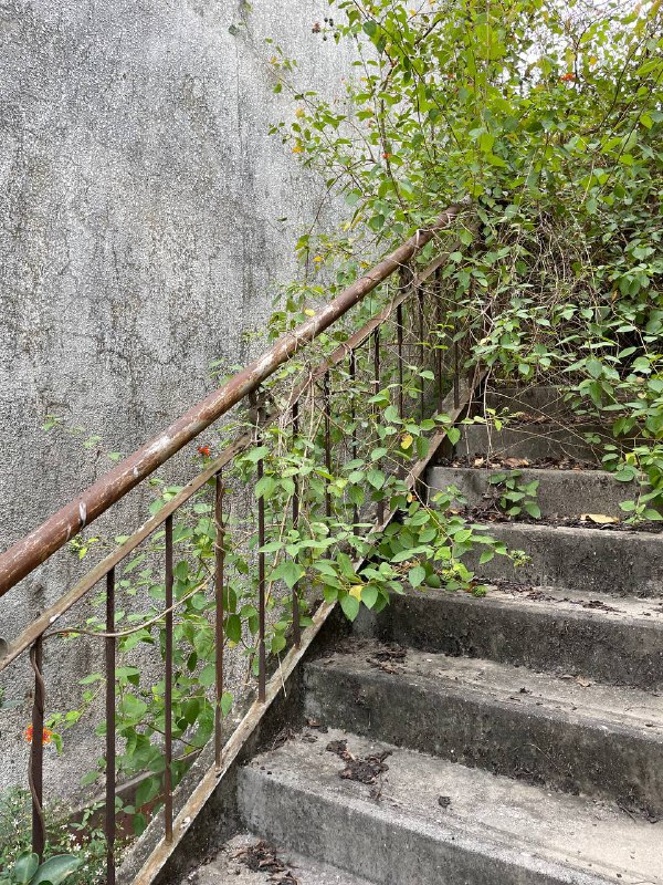 厦门城市废墟探索：某油库员工之家级别：丙；难度：丙