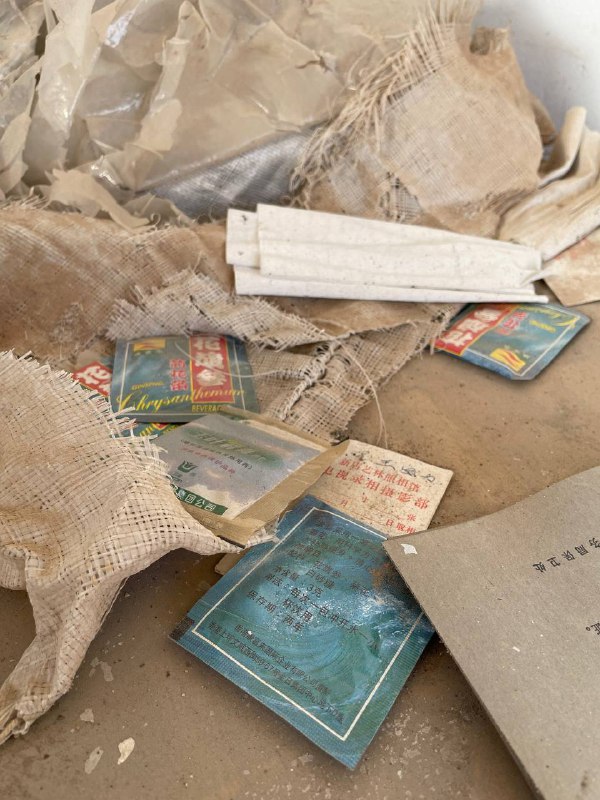 厦门城市废墟探索：某码头公司级别：丁；难度：丁