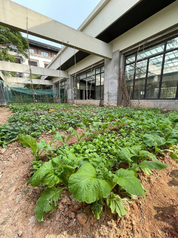 厦门城市废墟探索：某废弃温泉酒店级别：丙；难度：丁